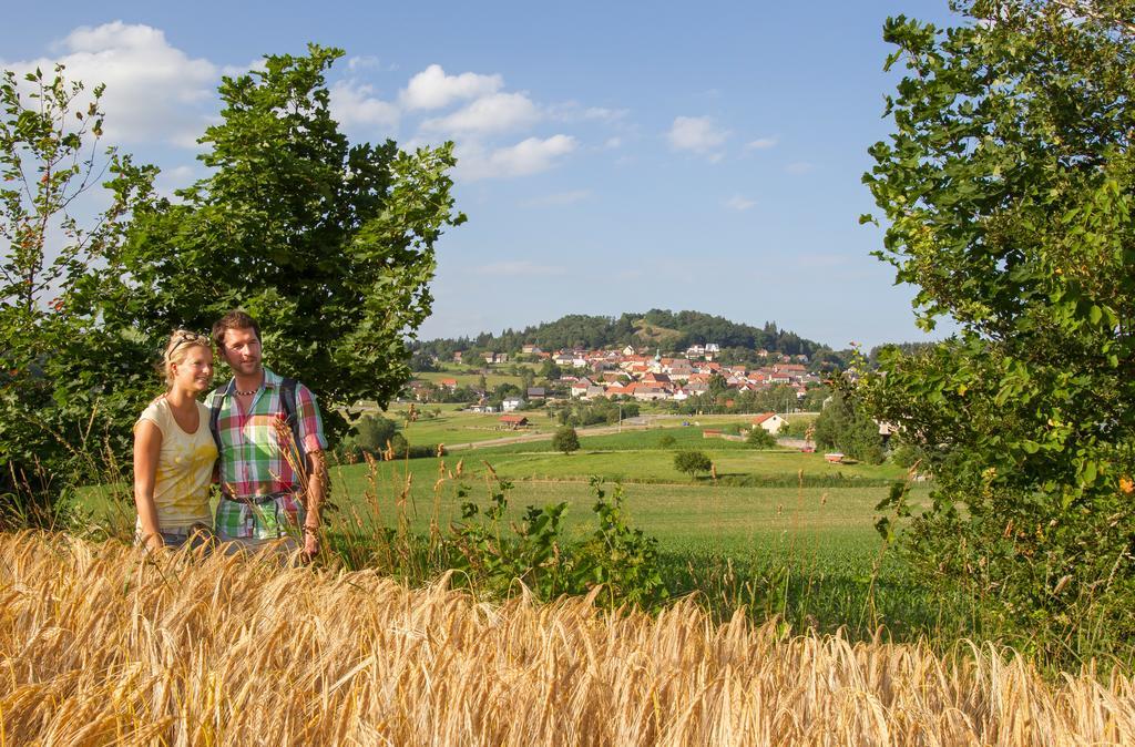 Zum Schwarzen Baeren Hotell Vohenstrauss Eksteriør bilde