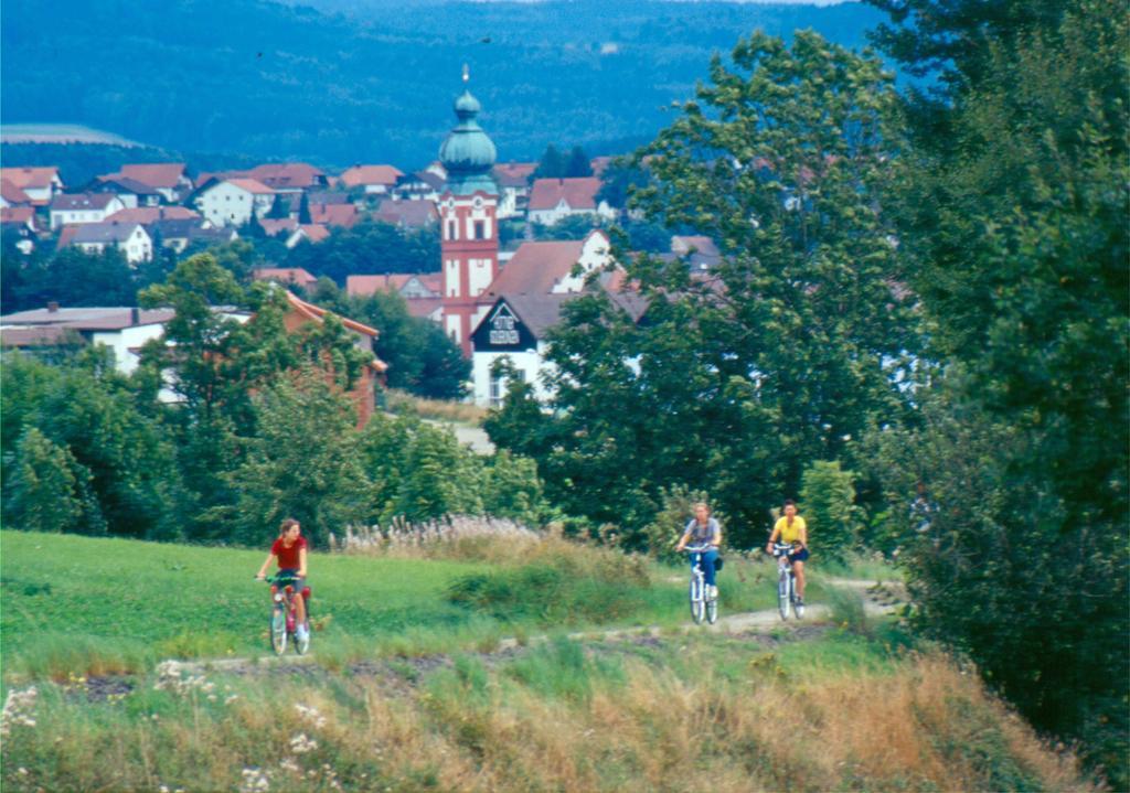 Zum Schwarzen Baeren Hotell Vohenstrauss Eksteriør bilde